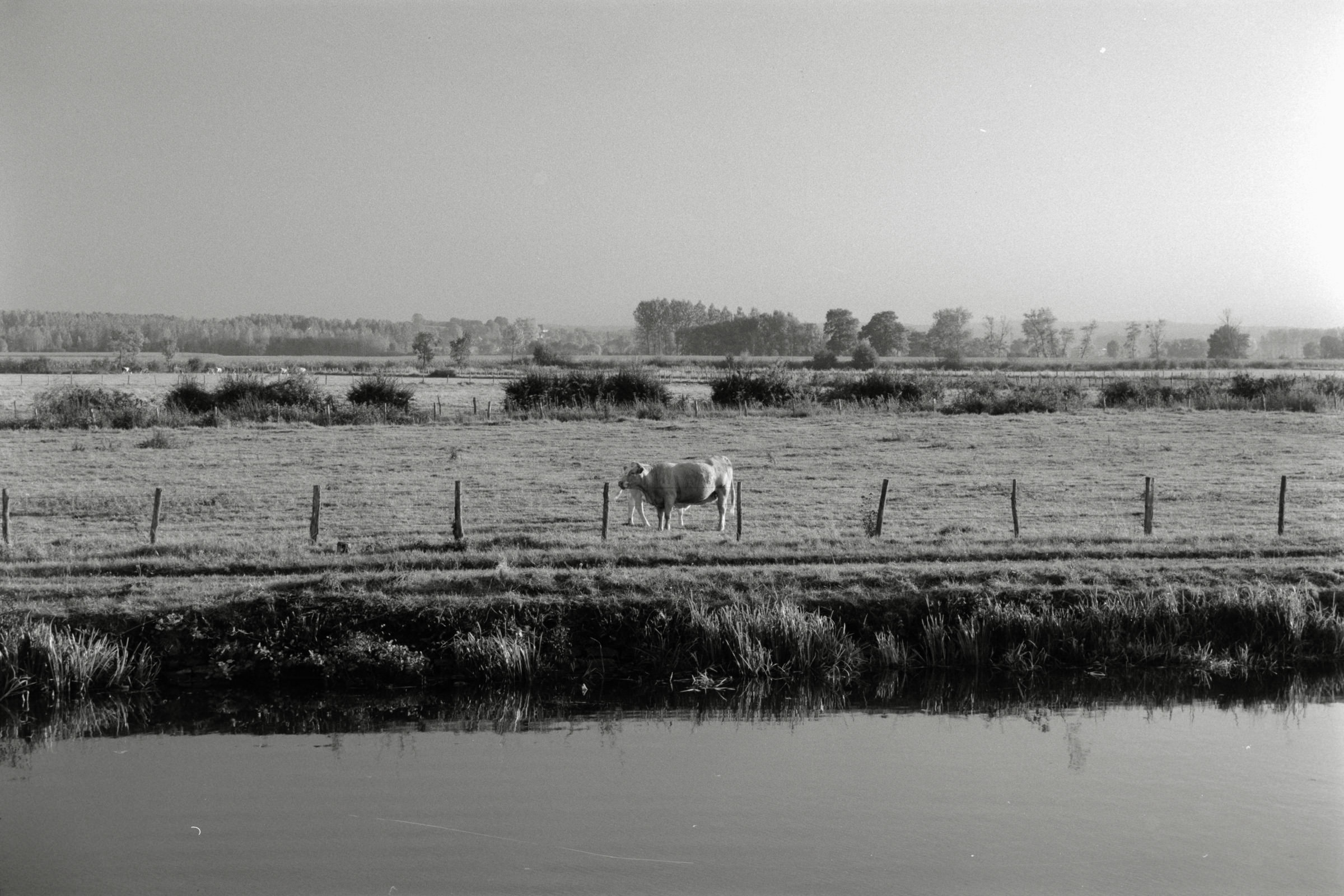 AHP F1990 09 004 sc250506 img25 NLP